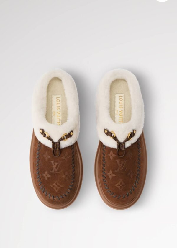 photo_6_2026-01-06_23-25-02 Cortina Closed Mule