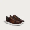 Basket Stellar