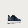 Basket Stellar