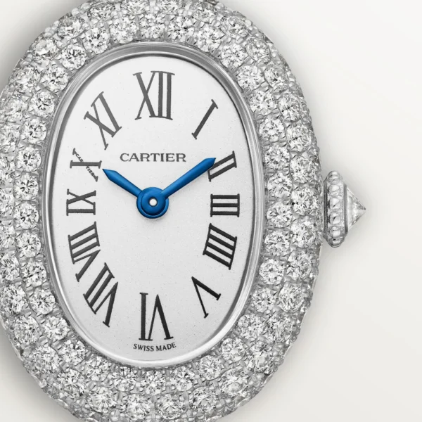 MONTRE BAIGNOIRE