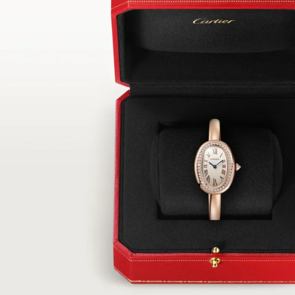 MONTRE BAIGNOIRE