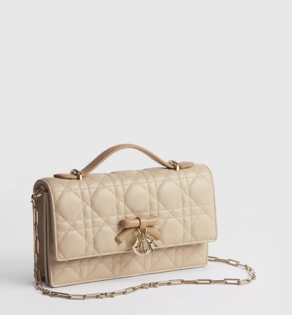 5846095053237981096_121 Mini sac My Dior