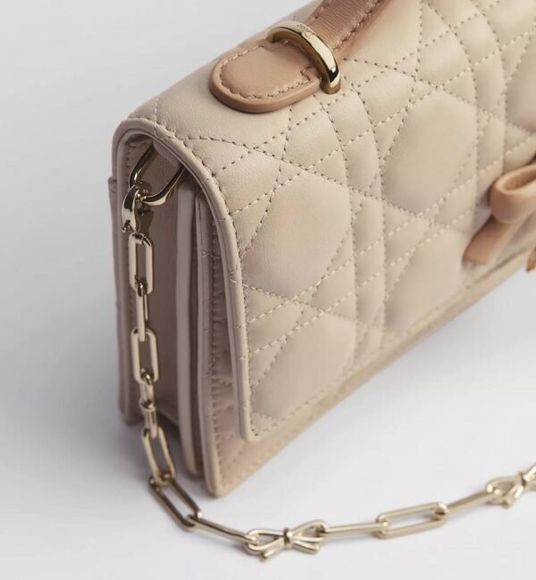 5846095053237981097_121 Mini sac My Dior