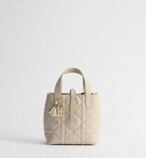 Sac cabas vertical Dior Toujours Small